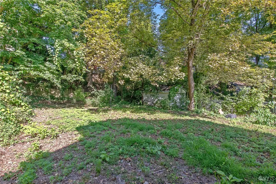 Private yard