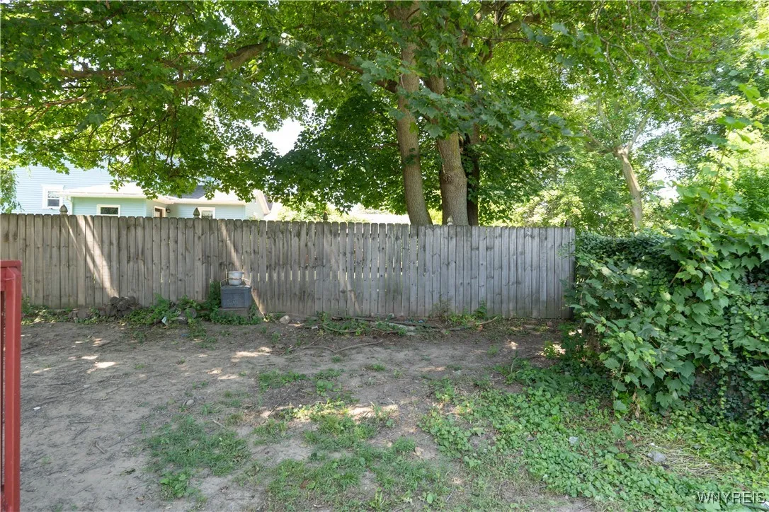 Back yard