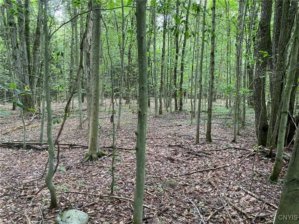 Pole Size Hardwoods