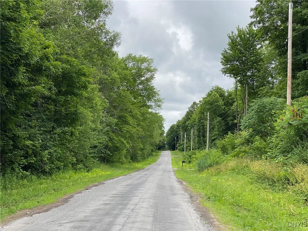 View of Rice Road from US Rt 11