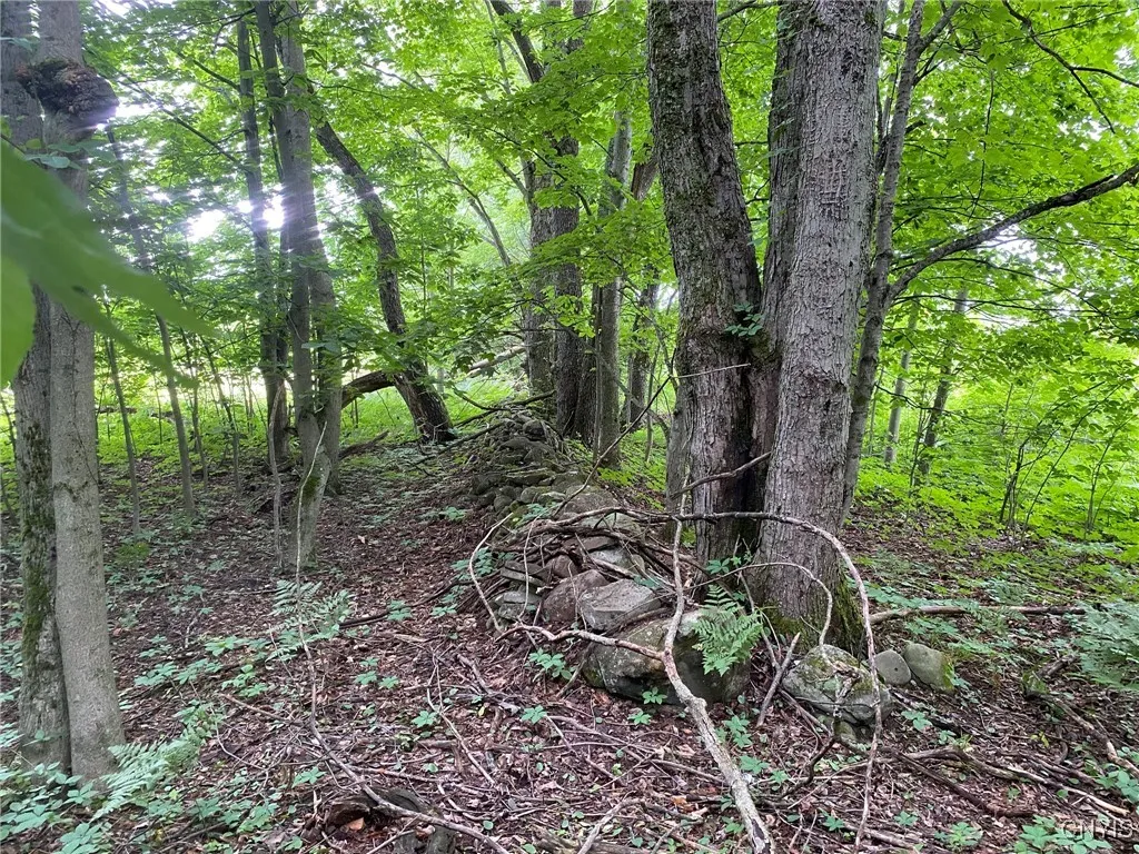 Interior Stone Fence