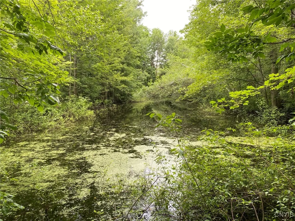 Farm Pond