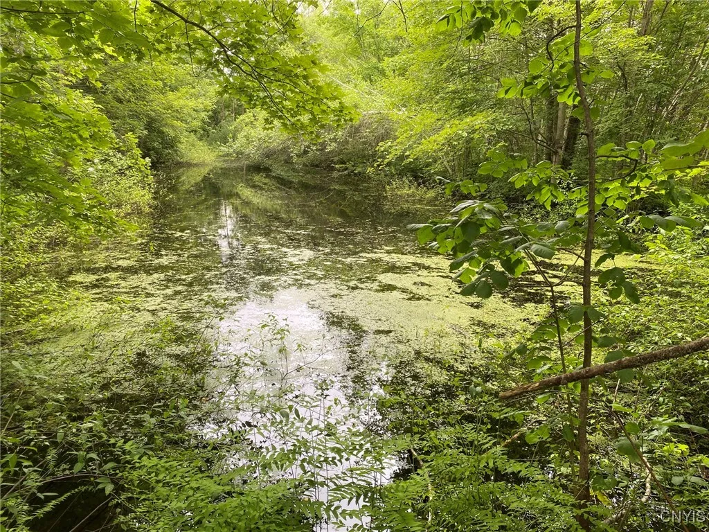 Farm Pond