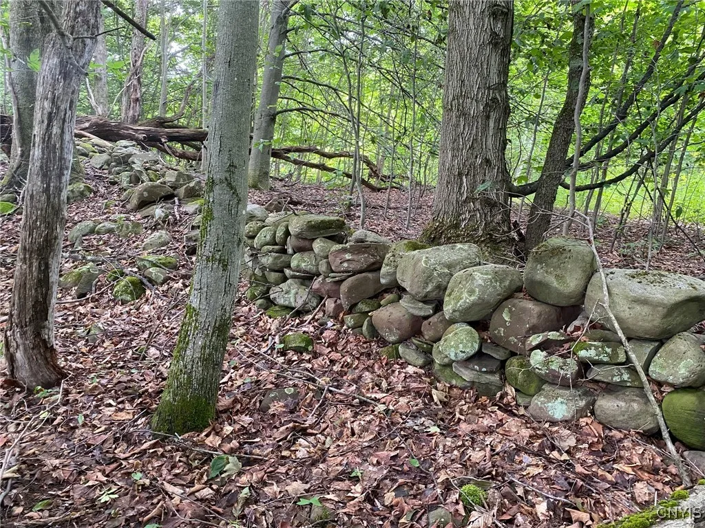 Boundary Rock Fence