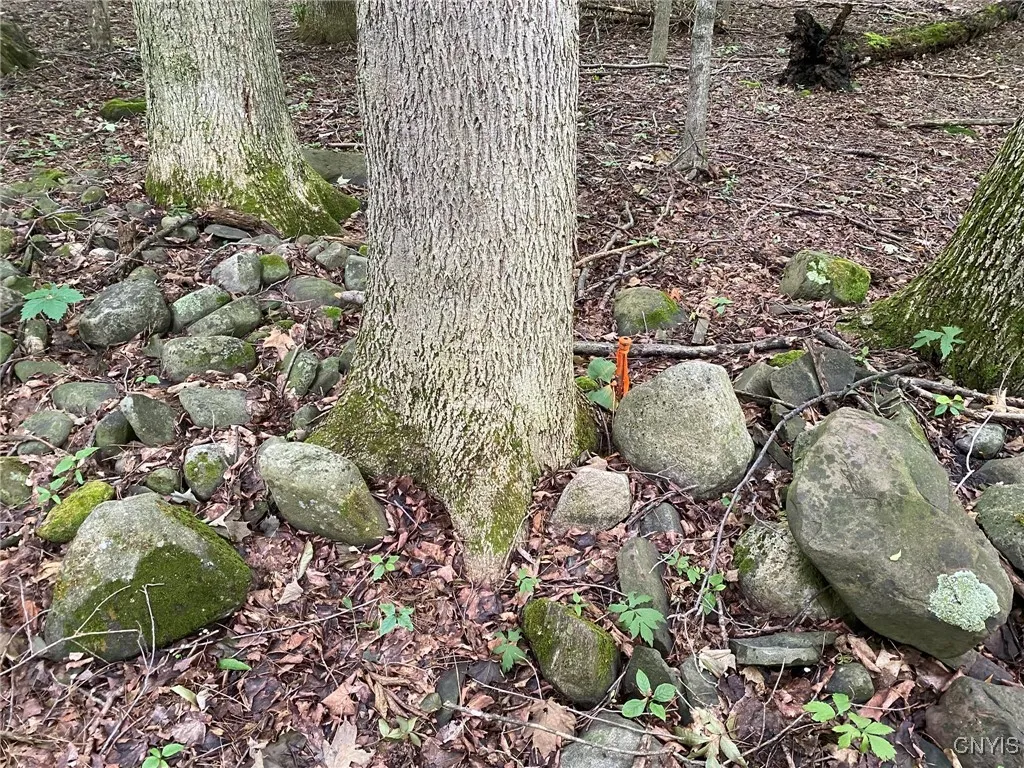 Boundary Corner Pipe