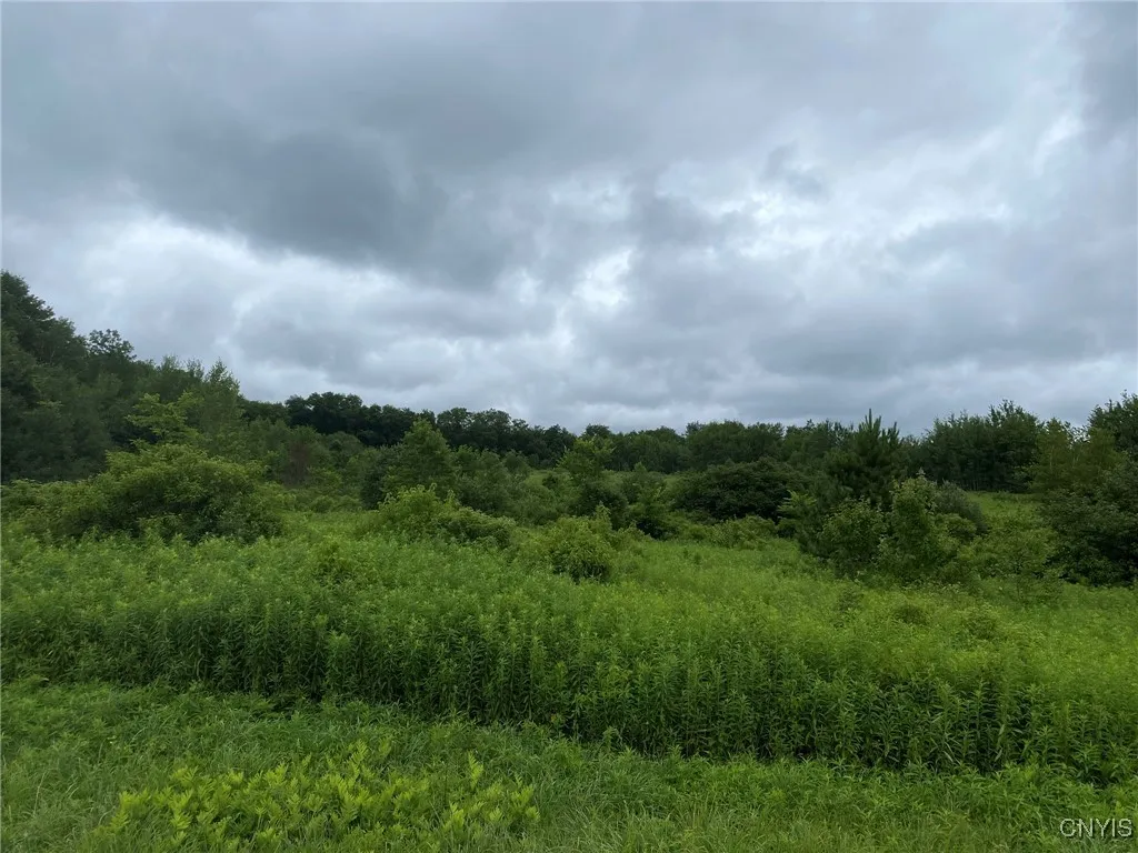 View East from US Rt 11
