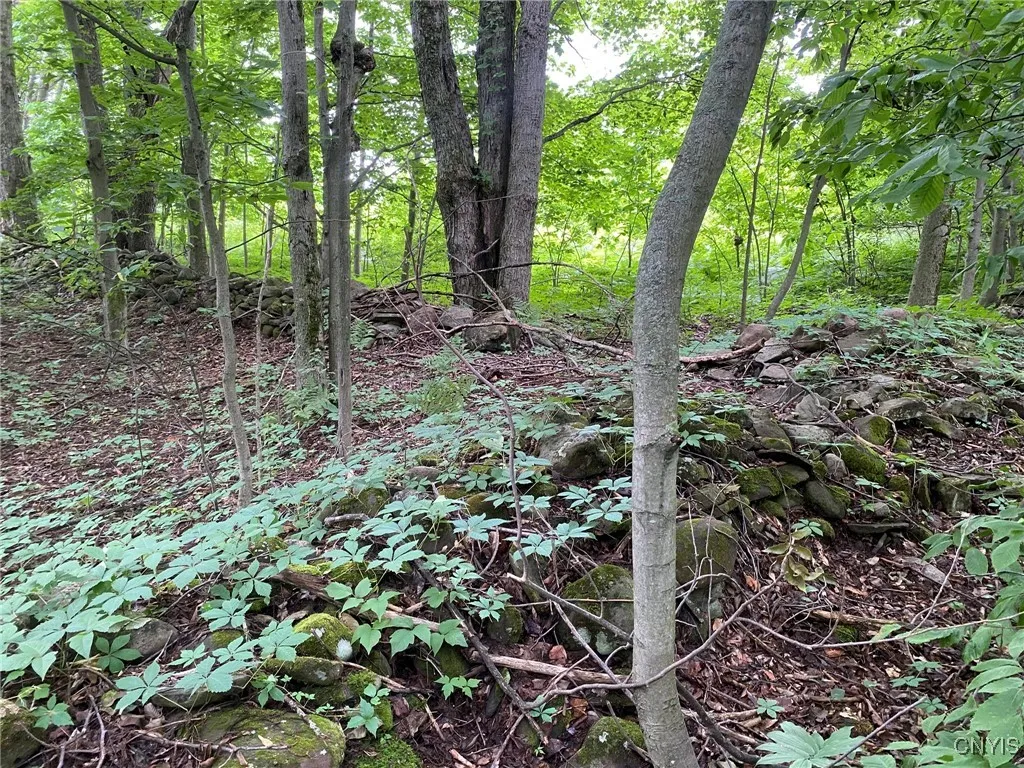 Interior Stone Fence
