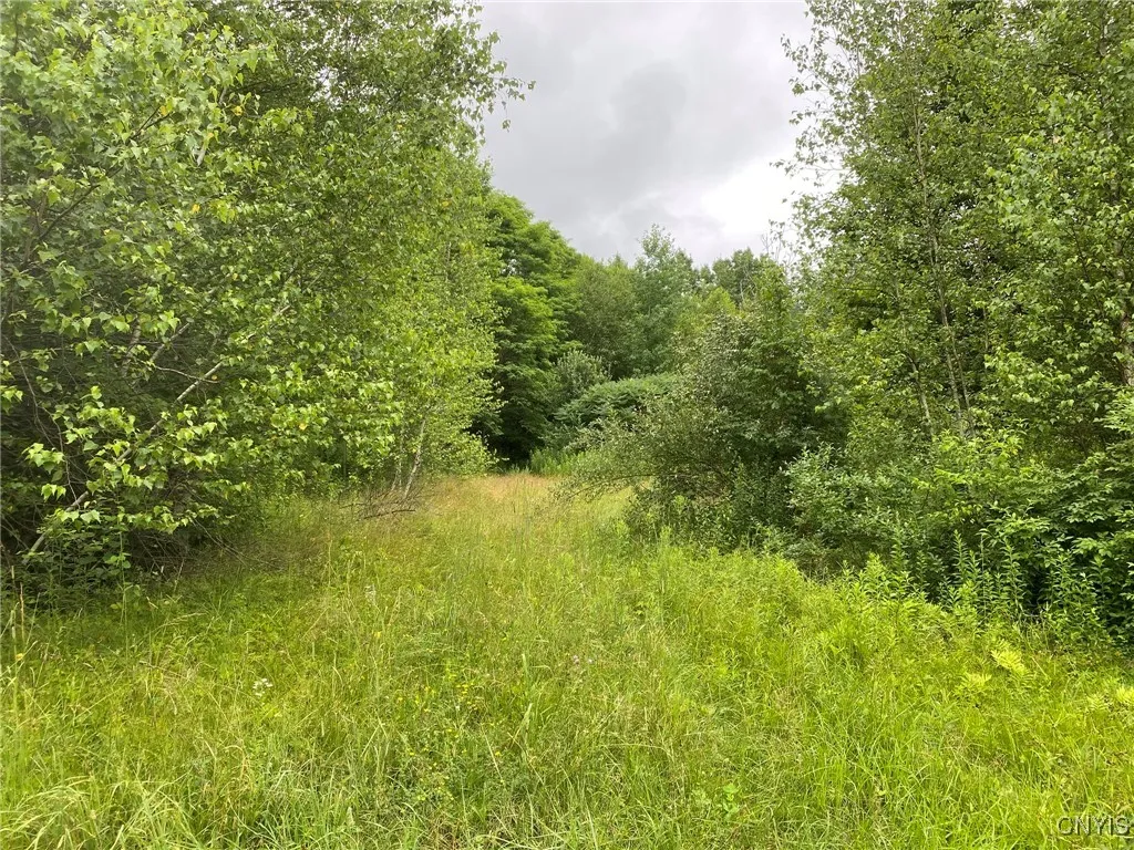 US Rt 11 Entrance Drive