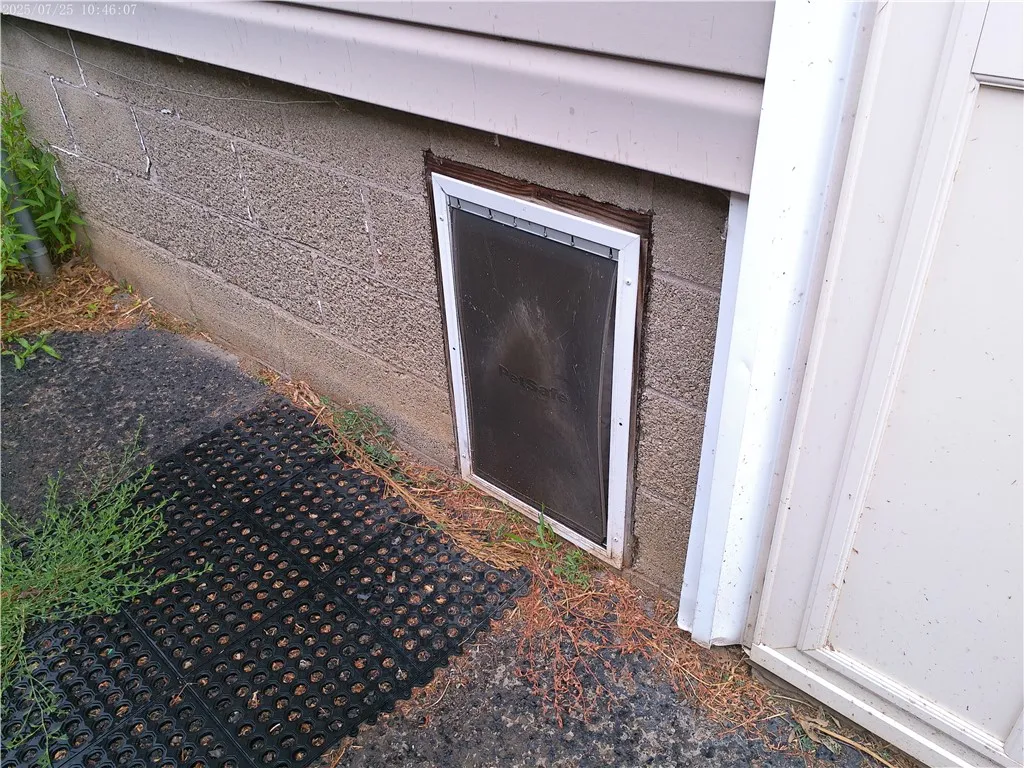 Doggie door