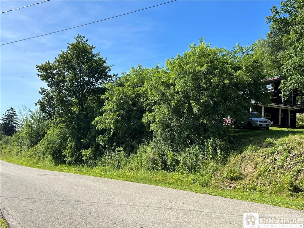 256 Bragg Road, Carroll, New York 14738, Carroll, New York 14738, 2 Bedrooms Bedrooms, 5 Rooms Rooms,2 BathroomsBathrooms,Residential,For Sale,256 Bragg Road, Carroll, New York 14738,R1623918