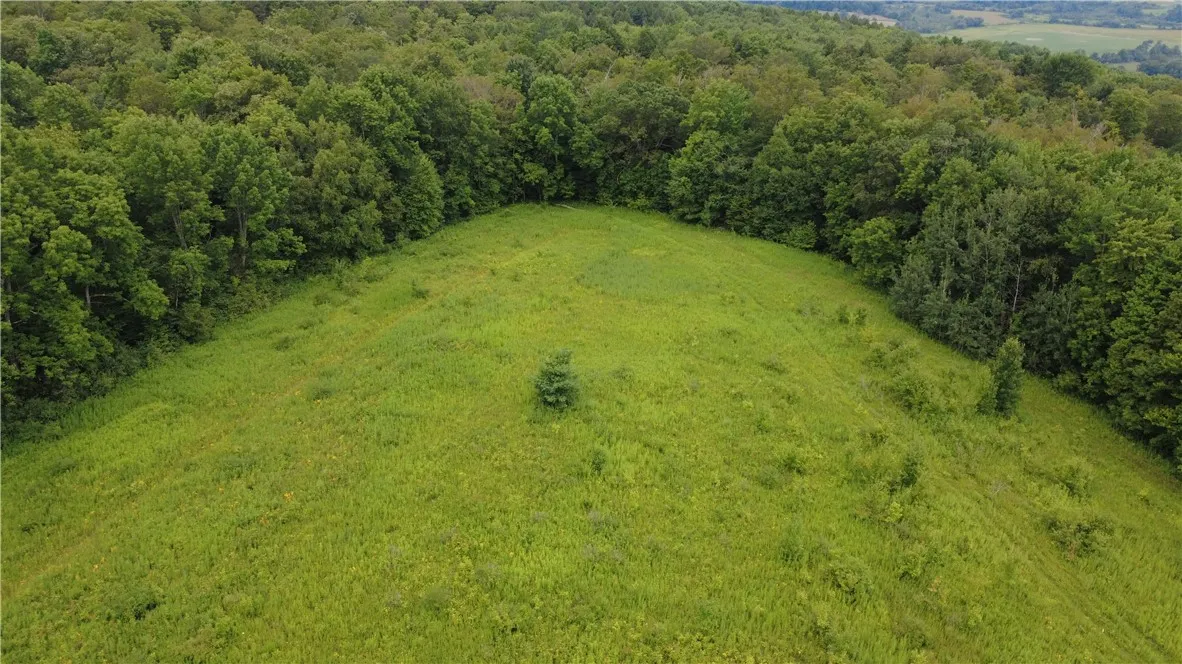 Van Cleef Road, Westford, New York 13488, Westford, New York 13488, ,Land,For Sale,Van Cleef Road, Westford, New York 13488,R1625604