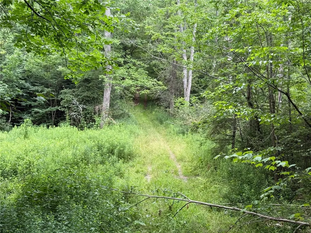 Van Cleef Road, Westford, New York 13488, Westford, New York 13488, ,Land,For Sale,Van Cleef Road, Westford, New York 13488,R1625604