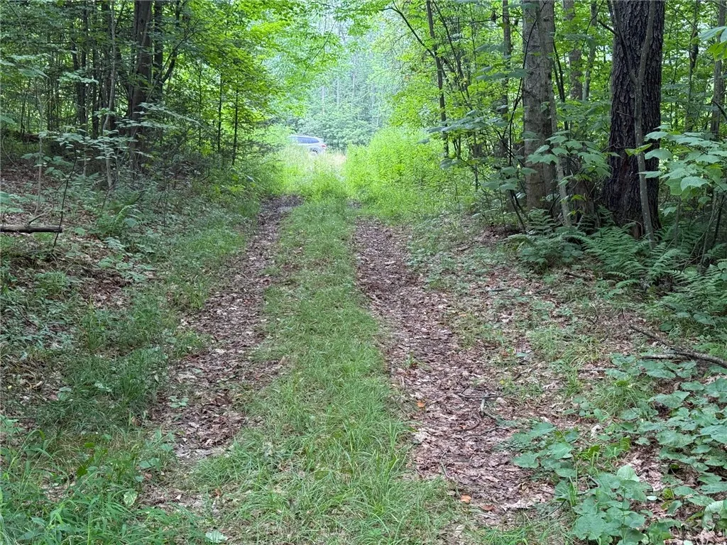 Van Cleef Road, Westford, New York 13488, Westford, New York 13488, ,Land,For Sale,Van Cleef Road, Westford, New York 13488,R1625604