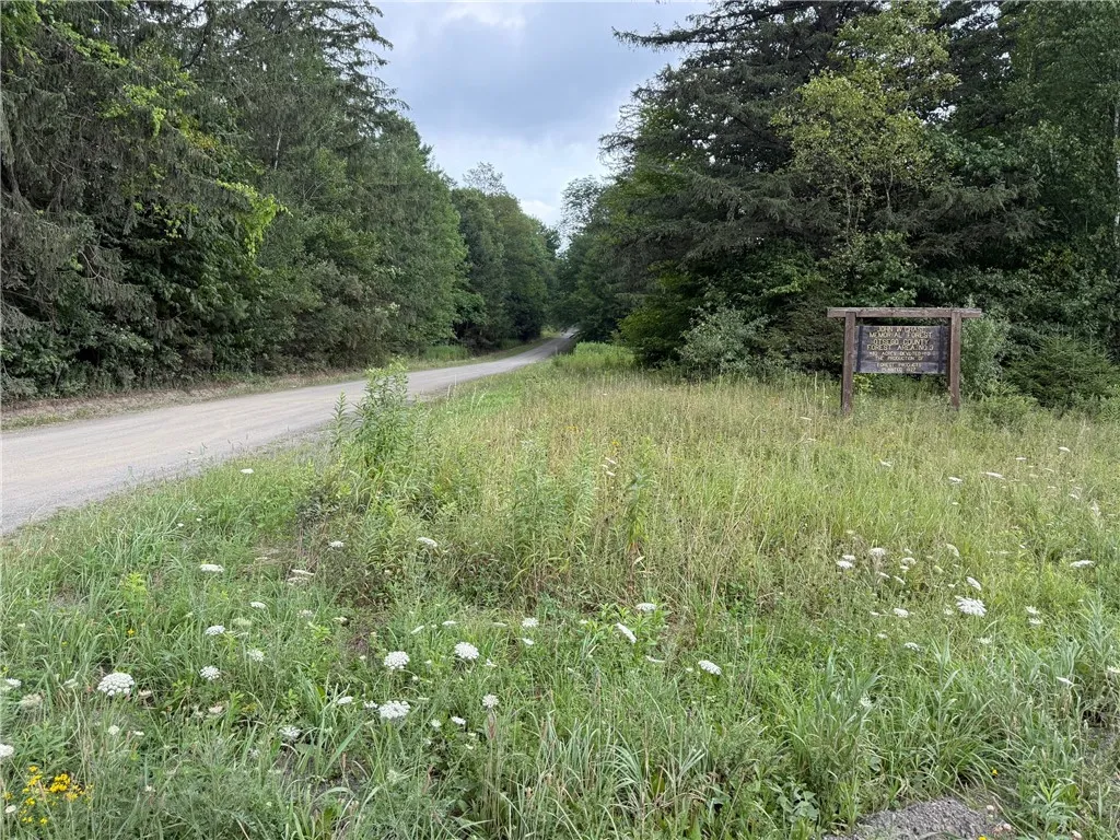 Van Cleef Road, Westford, New York 13488, Westford, New York 13488, ,Land,For Sale,Van Cleef Road, Westford, New York 13488,R1625604