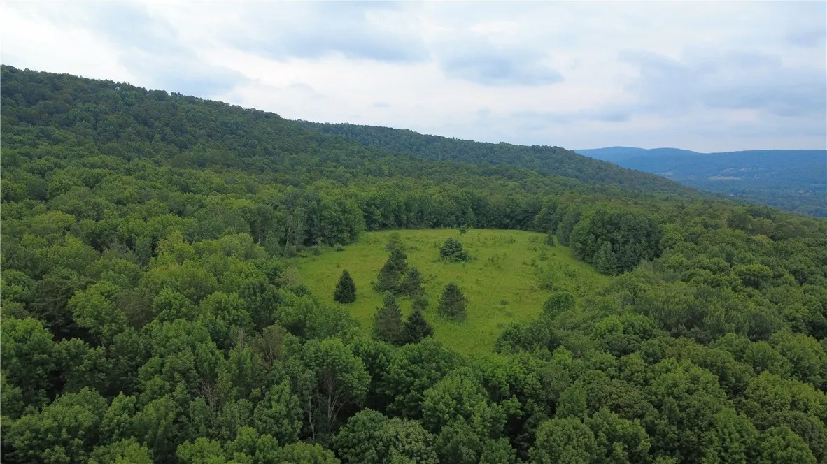 Van Cleef Road, Westford, New York 13488, Westford, New York 13488, ,Land,For Sale,Van Cleef Road, Westford, New York 13488,R1625604