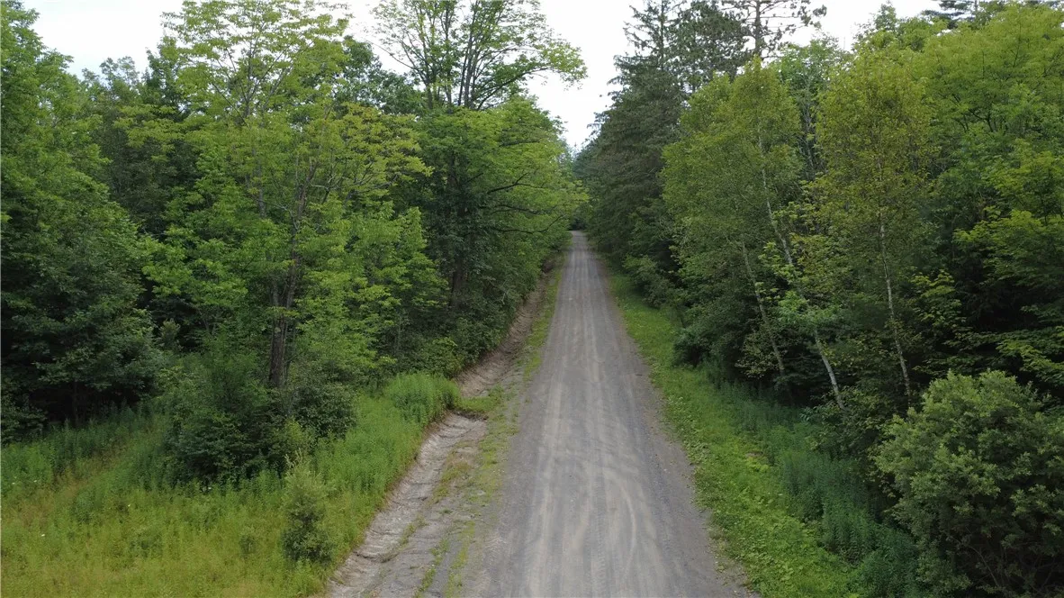 Van Cleef Road, Westford, New York 13488, Westford, New York 13488, ,Land,For Sale,Van Cleef Road, Westford, New York 13488,R1625604