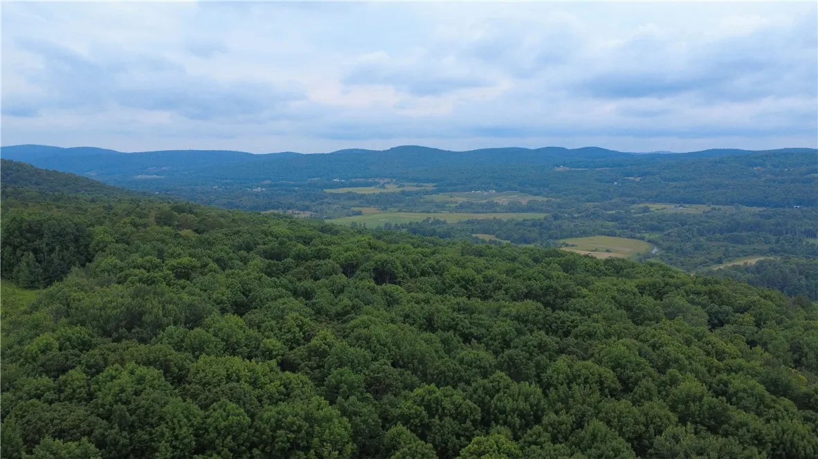 Van Cleef Road, Westford, New York 13488, Westford, New York 13488, ,Land,For Sale,Van Cleef Road, Westford, New York 13488,R1625604