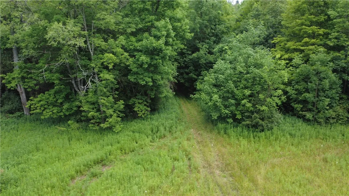 Van Cleef Road, Westford, New York 13488, Westford, New York 13488, ,Land,For Sale,Van Cleef Road, Westford, New York 13488,R1625604