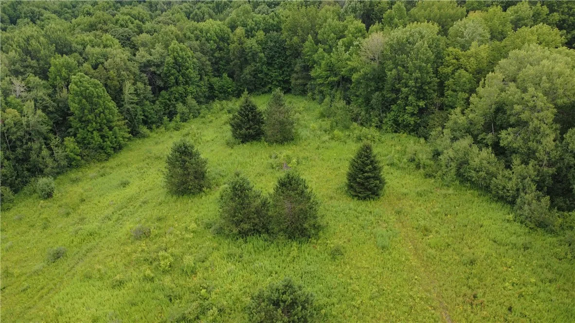 Van Cleef Road, Westford, New York 13488, Westford, New York 13488, ,Land,For Sale,Van Cleef Road, Westford, New York 13488,R1625604