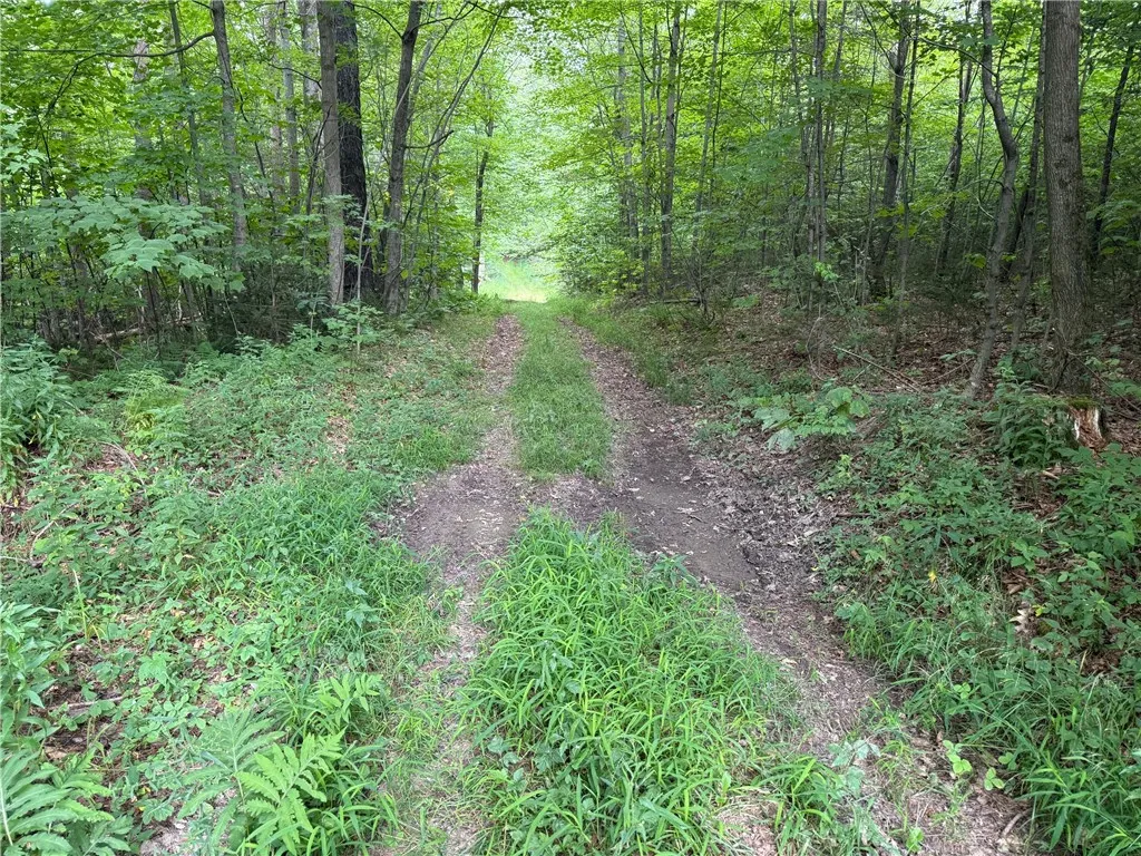 Van Cleef Road, Westford, New York 13488, Westford, New York 13488, ,Land,For Sale,Van Cleef Road, Westford, New York 13488,R1625604