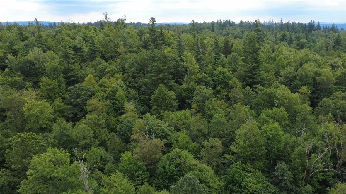 Van Cleef Road, Westford, New York 13488, Westford, New York 13488, ,Land,For Sale,Van Cleef Road, Westford, New York 13488,R1625604