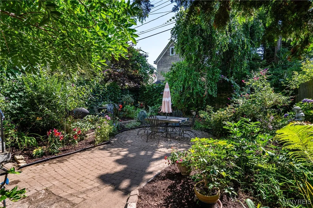 Back yard