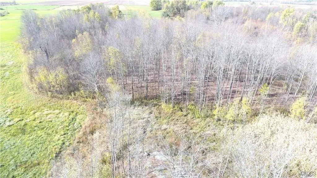 21259 Wrape Road, Wilna, New York 13619, Wilna, New York 13619, 3 Bedrooms Bedrooms, 8 Rooms Rooms,2 BathroomsBathrooms,Residential,Closed,21259 Wrape Road, Wilna, New York 13619,0,S1625347
