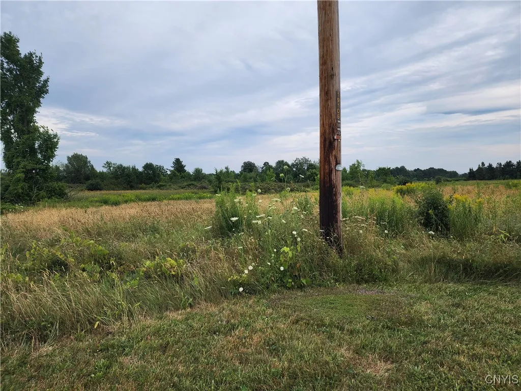 38094 State Route 37, Theresa, New York 13691, Theresa, New York 13691, 3 Bedrooms Bedrooms, ,1 BathroomBathrooms,Land,Closed,38094 State Route 37, Theresa, New York 13691,0,S1625700