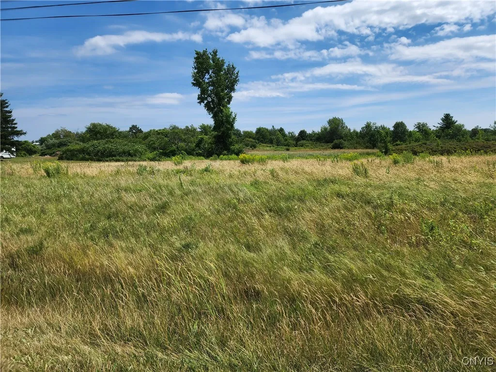 38094 State Route 37, Theresa, New York 13691, Theresa, New York 13691, 3 Bedrooms Bedrooms, ,1 BathroomBathrooms,Land,Closed,38094 State Route 37, Theresa, New York 13691,0,S1625700