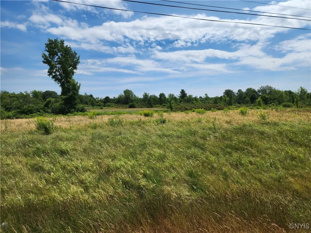 38094 State Route 37, Theresa, New York 13691, Theresa, New York 13691, 3 Bedrooms Bedrooms, ,1 BathroomBathrooms,Land,Closed,38094 State Route 37, Theresa, New York 13691,0,S1625700