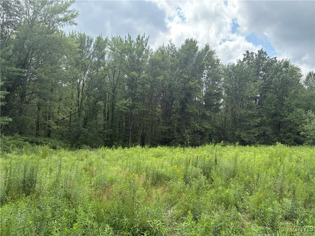 447 County Route 6, Schroeppel, New York 13135, Schroeppel, New York 13135, ,Land,For Sale,447 County Route 6, Schroeppel, New York 13135,0,S1625731