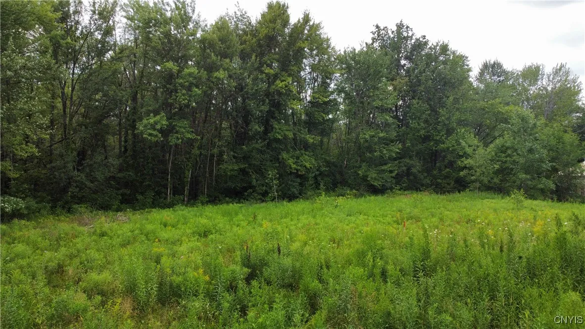 447 County Route 6, Schroeppel, New York 13135, Schroeppel, New York 13135, ,Land,For Sale,447 County Route 6, Schroeppel, New York 13135,0,S1625731