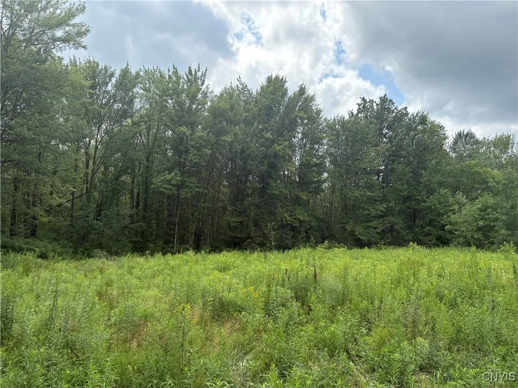 447 County Route 6, Schroeppel, New York 13135, Schroeppel, New York 13135, ,Land,For Sale,447 County Route 6, Schroeppel, New York 13135,0,S1625731