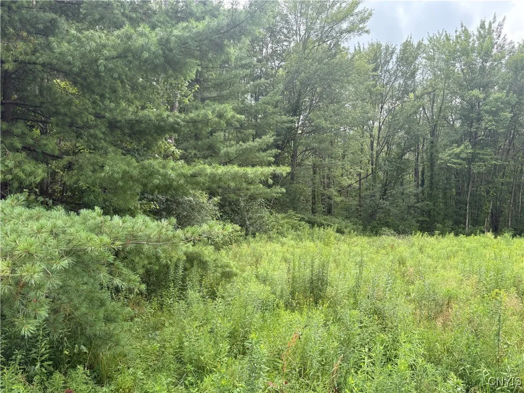447 County Route 6, Schroeppel, New York 13135, Schroeppel, New York 13135, ,Land,For Sale,447 County Route 6, Schroeppel, New York 13135,0,S1625731