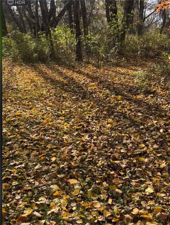 Photo of the trail