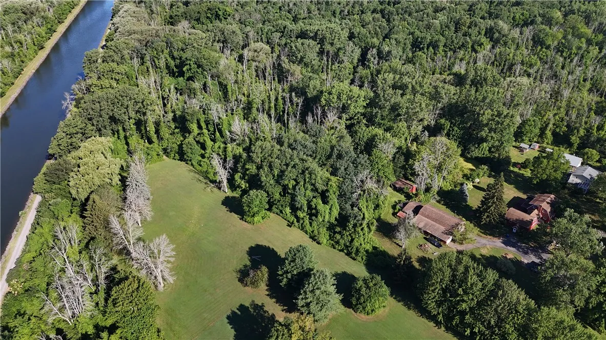 A view of the 18 acres of wooded land behind this home