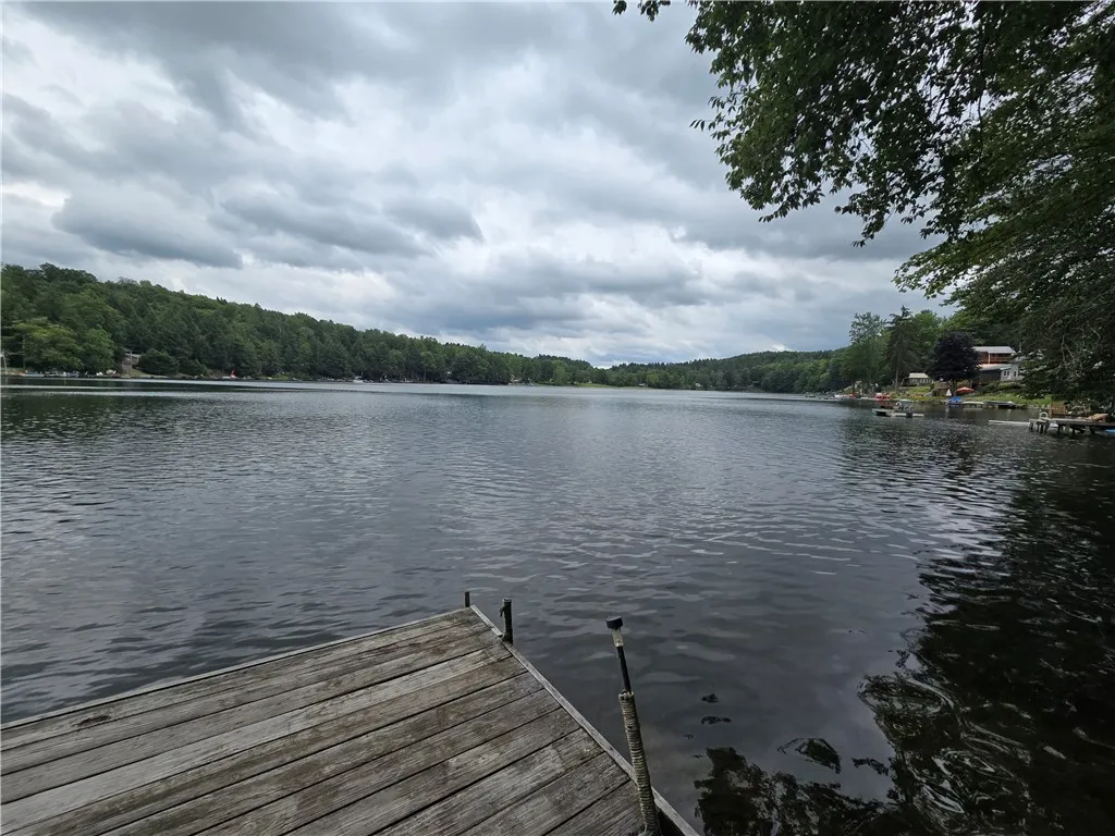 1976 West Shore Road, Howard, New York 14810, Howard, New York 14810, 2 Rooms Rooms,Residential,For Sale,1976 West Shore Road, Howard, New York 14810,R1625741