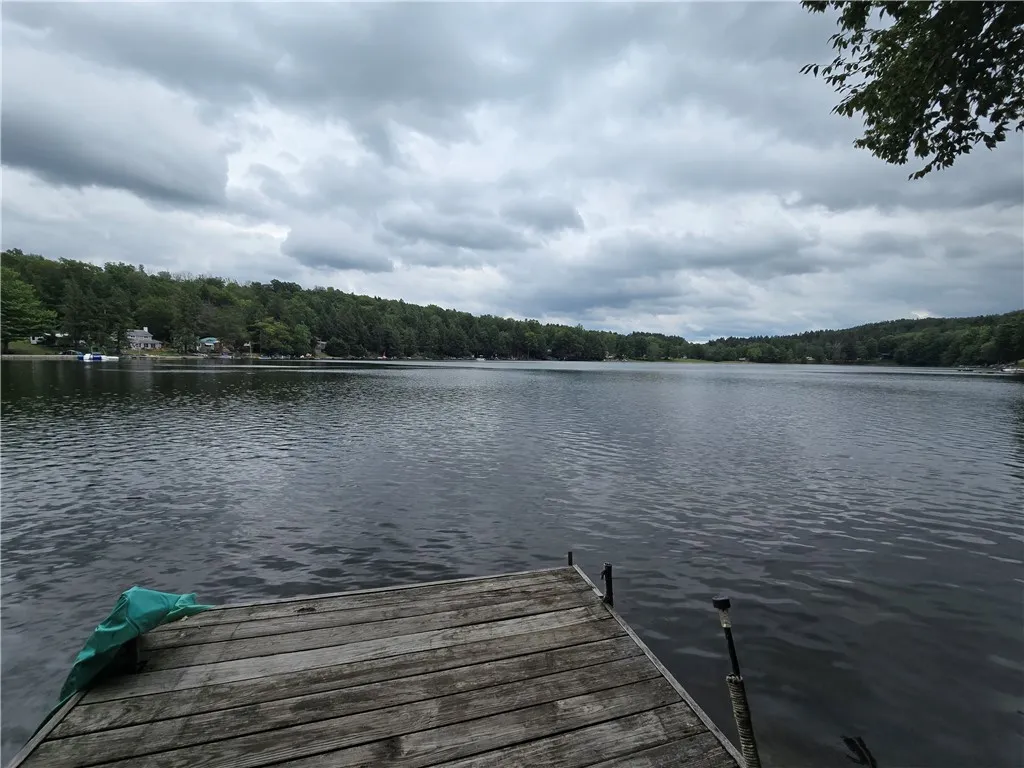 1976 West Shore Road, Howard, New York 14810, Howard, New York 14810, 2 Rooms Rooms,Residential,For Sale,1976 West Shore Road, Howard, New York 14810,R1625741