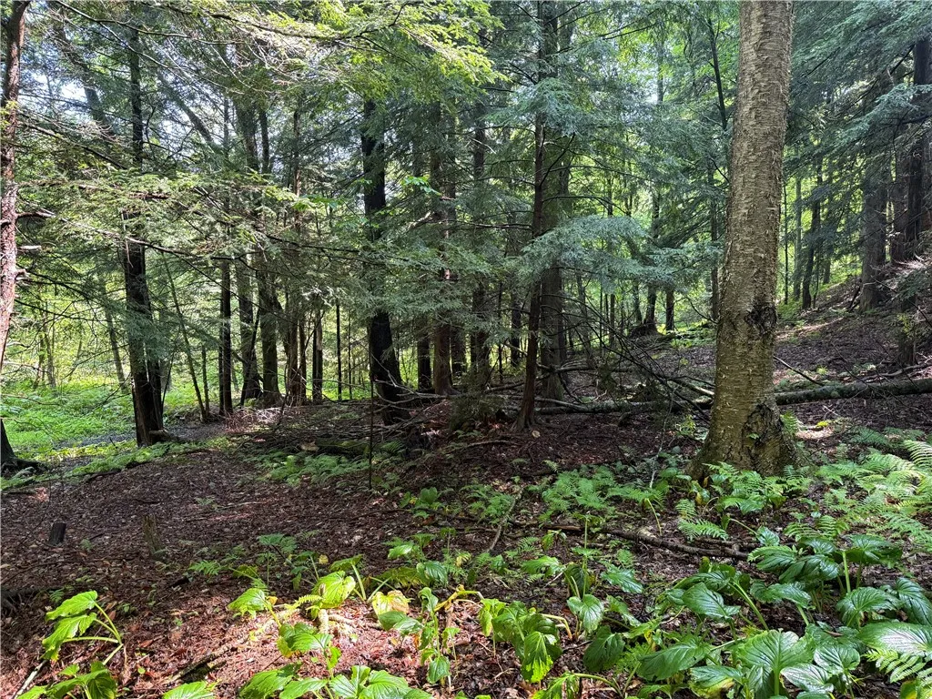 8722 State Route 417, Genesee, New York 14754, Genesee, New York 14754, 3 Bedrooms Bedrooms, 6 Rooms Rooms,1 BathroomBathrooms,Residential,For Sale,8722 State Route 417, Genesee, New York 14754,R1625827