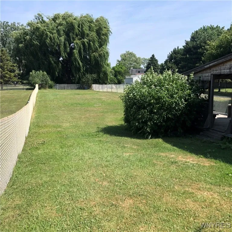 Big Back Yard