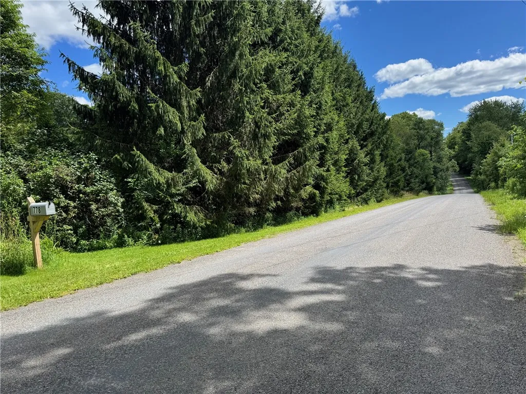 778 Hammerle Road, Mc Donough, New York 13830, Mc Donough, New York 13830, ,Land,Closed,778 Hammerle Road, Mc Donough, New York 13830,0,R1625884