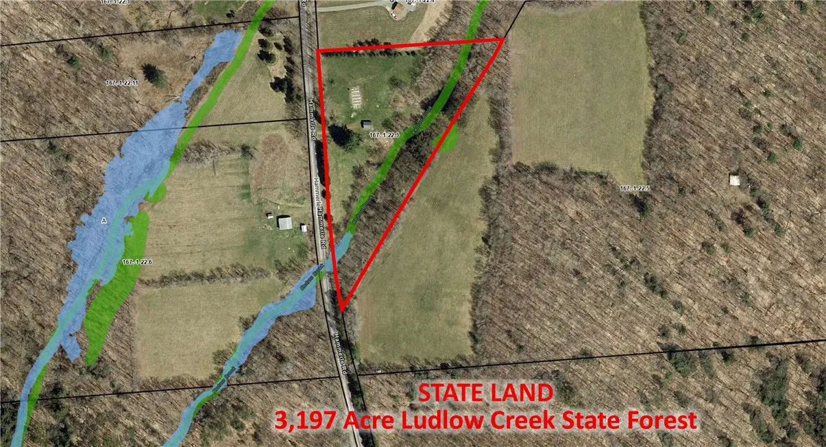 778 Hammerle Road, Mc Donough, New York 13830, Mc Donough, New York 13830, ,Land,Closed,778 Hammerle Road, Mc Donough, New York 13830,0,R1625884