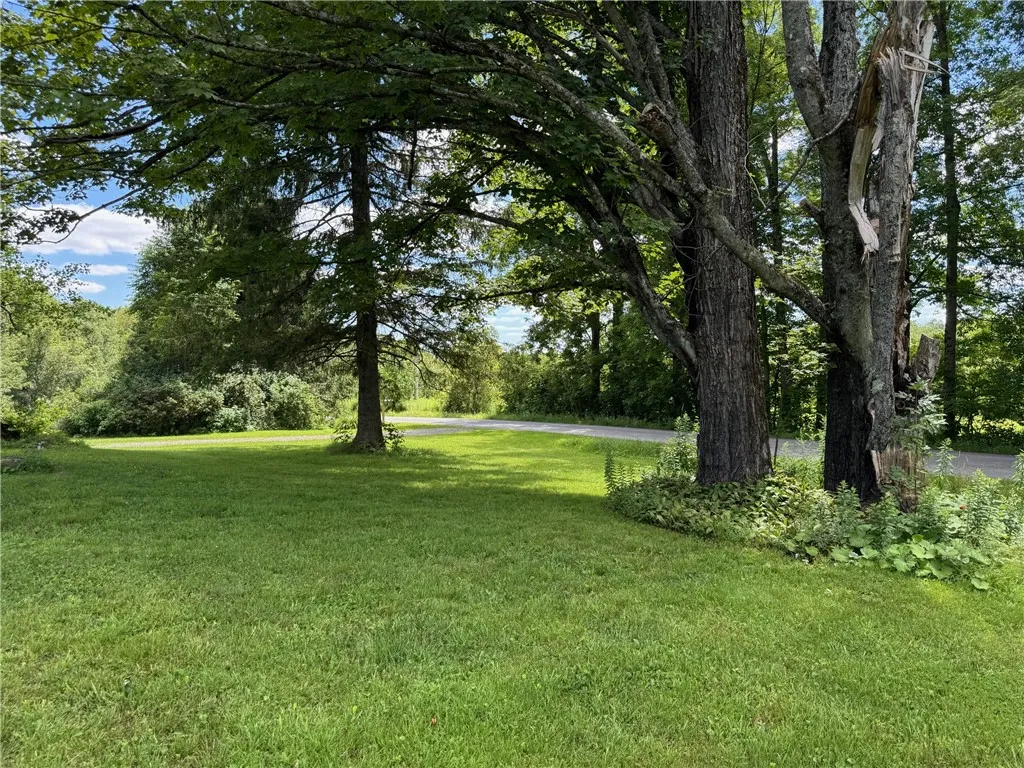 778 Hammerle Road, Mc Donough, New York 13830, Mc Donough, New York 13830, ,Land,Closed,778 Hammerle Road, Mc Donough, New York 13830,0,R1625884