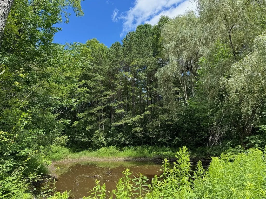 778 Hammerle Road, Mc Donough, New York 13830, Mc Donough, New York 13830, ,Land,Closed,778 Hammerle Road, Mc Donough, New York 13830,0,R1625884