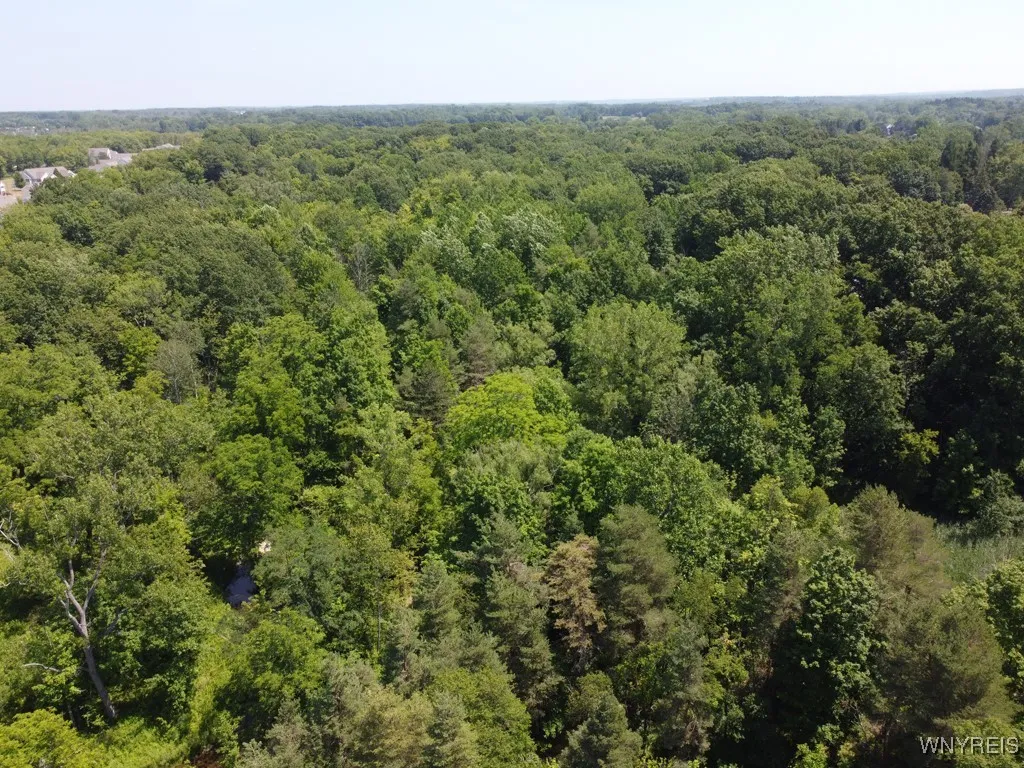 3415 Orchard Park Road, Orchard Park, New York 141, Orchard Park, New York 14127, ,Commercial Sale,Closed,3415 Orchard Park Road, Orchard Park, New York 141,0,B1624854