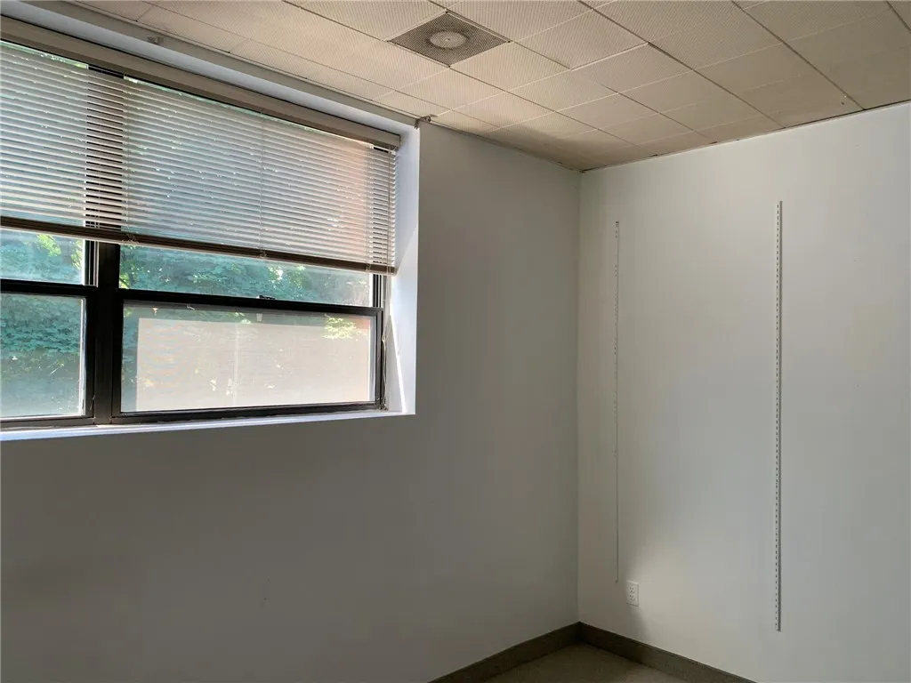 233 Alexander Street, Rochester, New York 14607, Rochester, New York 14607, ,Commercial Lease,For Rent,233 Alexander Street, Rochester, New York 14607,R1625938