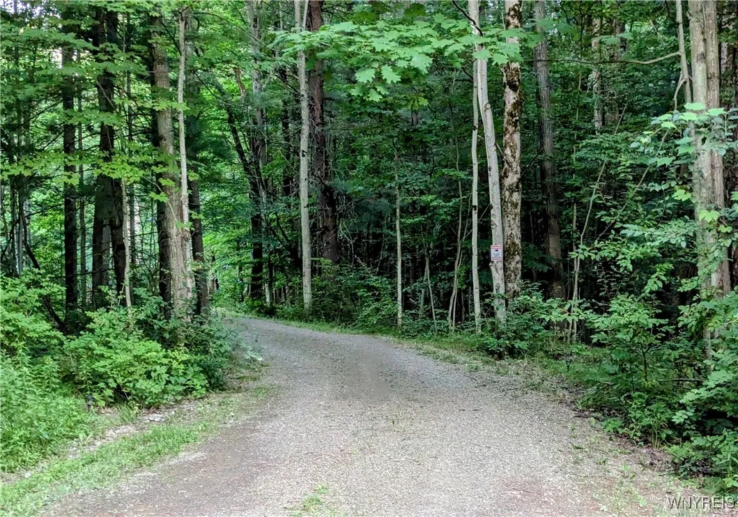 10246 Rile Road, Granger, New York 14735, Granger, New York 14735, 2 Bedrooms Bedrooms, 6 Rooms Rooms,1 BathroomBathrooms,Residential,Closed,10246 Rile Road, Granger, New York 14735,0,B1625614