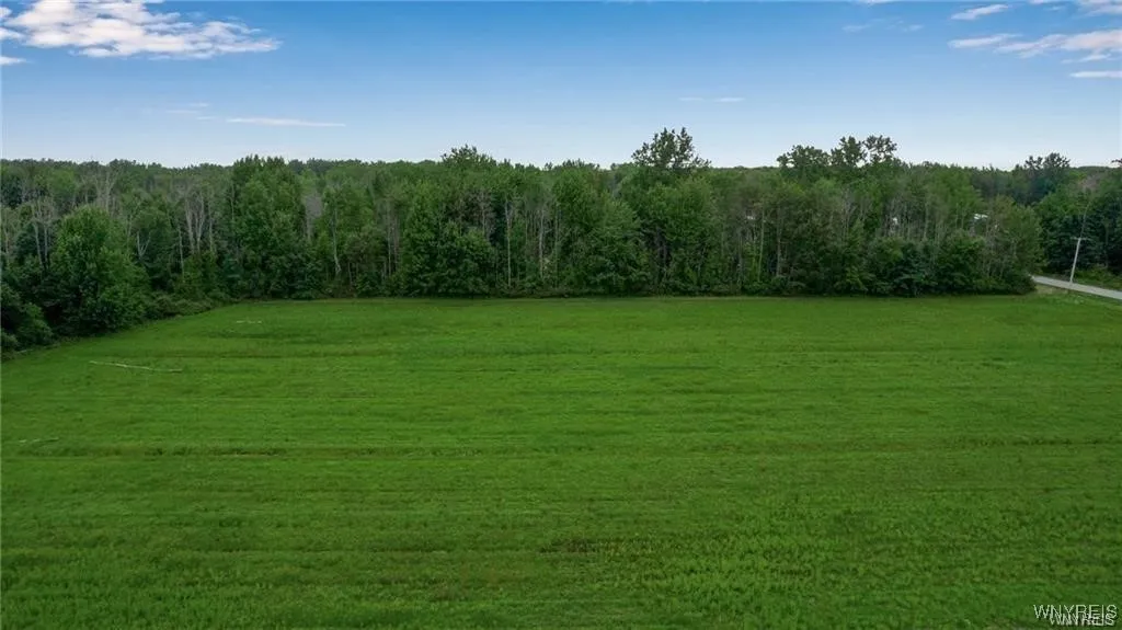 7700 Salt Road, Clarence, New York 14032, Clarence, New York 14032, ,Land,For Sale,7700 Salt Road, Clarence, New York 14032,B1623359