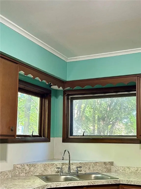 Kitchen Windows