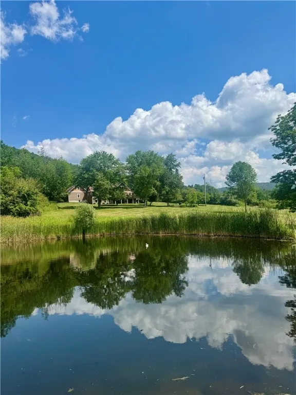 Pond in the backyard